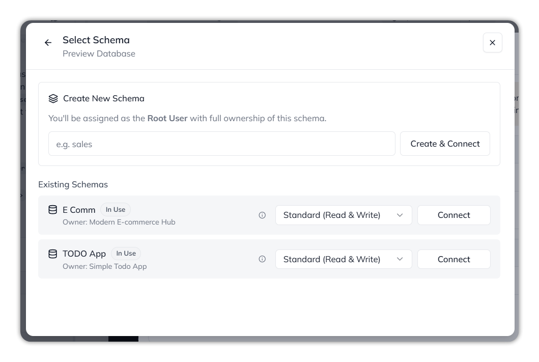 The Select Schema dialog for Preview Database: Create New Schema with Create and Connect, and two existing schemas, each In Use, with an access menu set to Standard (Read and Write) and a Connect button